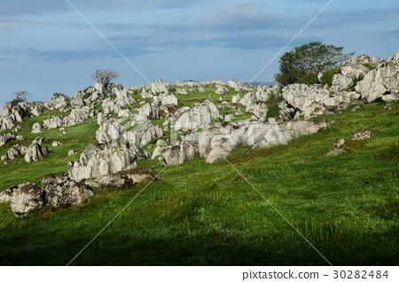 图库照片: 石灰石在四国喀斯特高原